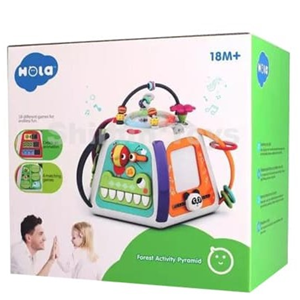 اسباب بازی هرم هوش هولی تویز مدل Hola Toys A3153